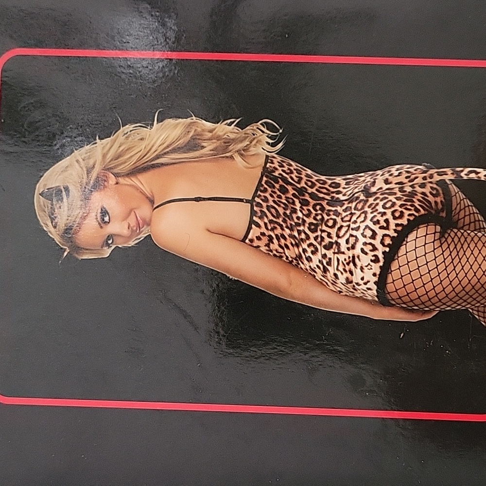 Womens sexy leopard lingerie  costume sz small